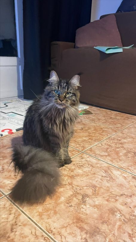 Vivianne